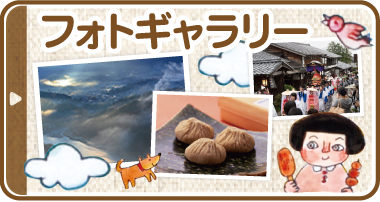 フォトギャラリー