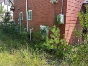 電気メーター及び給水管